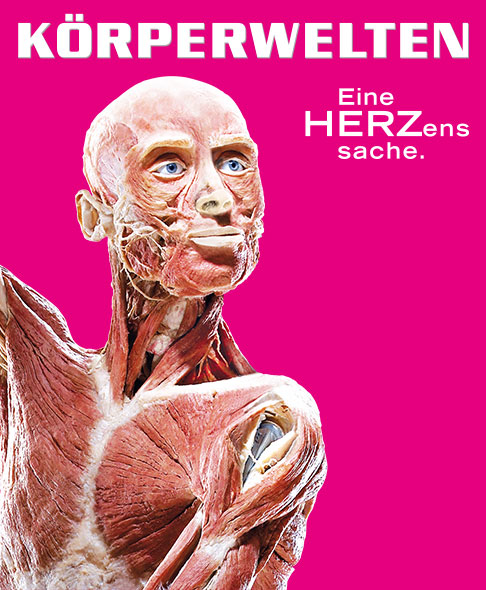 Körperwelten - Eine Herzenssache