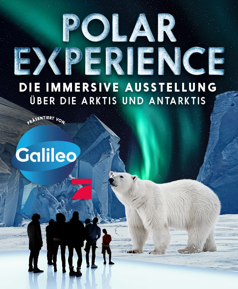 POLAR EXPERIENCE