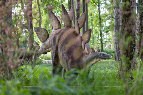 DINOLAND07_(c)_Dominik_Gruss_k