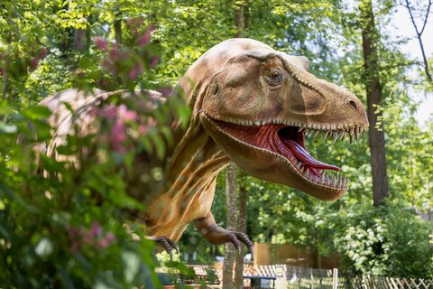 Dinoland