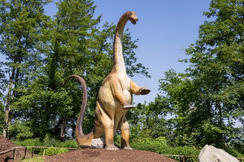 Dinoland
