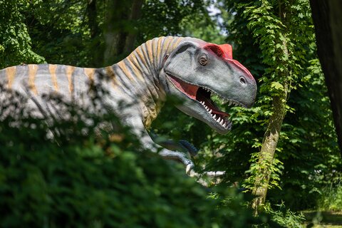 Dinoland
