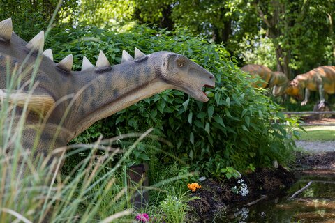 Dinoland