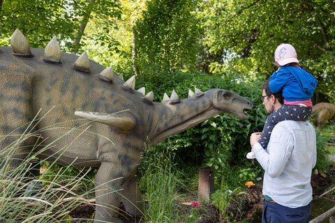 Dinoland