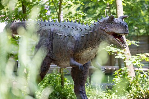 Dinoland