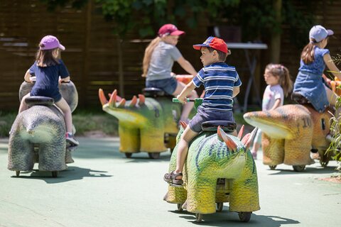 Dinoland