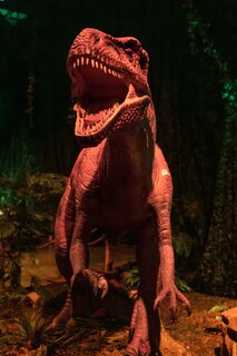 DINOS ALIVE - Reise in die Urzeit 