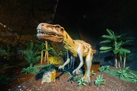 DINOS ALIVE - Reise in die Urzeit 