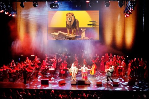 DER KÖNIG DER LÖWEN
