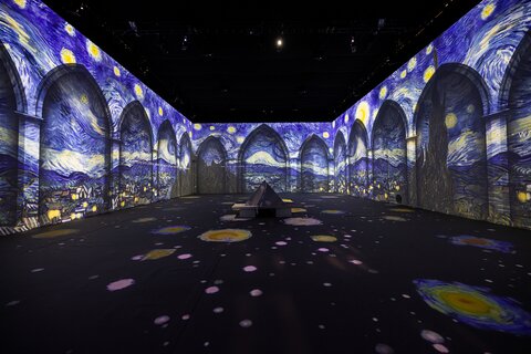 VanGogh_Linz_2_(c)Dominik_Gruss