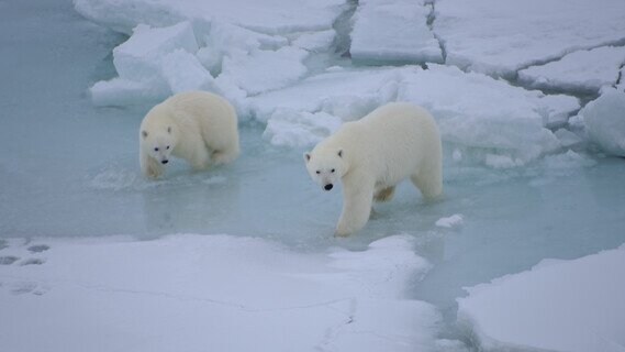 POLAR_EXPERIENCE_08_Impressionen_(c)MarkusRex