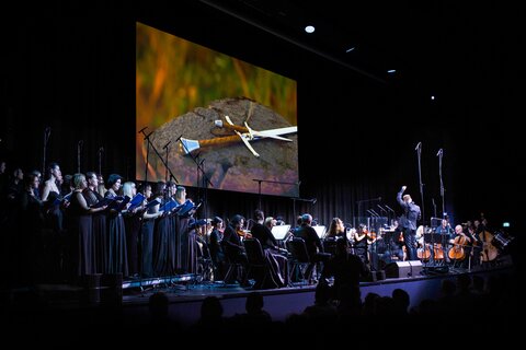 DerHerrderRinge_Pressebild04_(c)HC