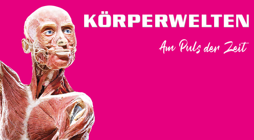 Körperwelten ab 27.10. in Stuttgart!
