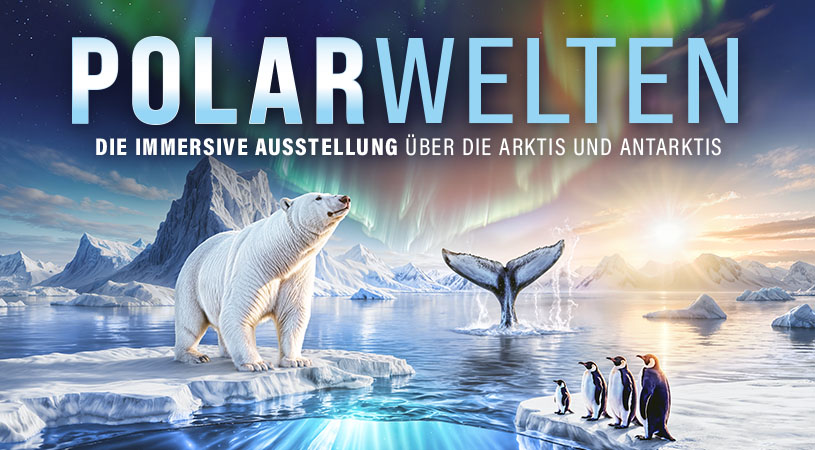 POLARWELTEN - Die Immersive Ausstellung &uuml;ber die A